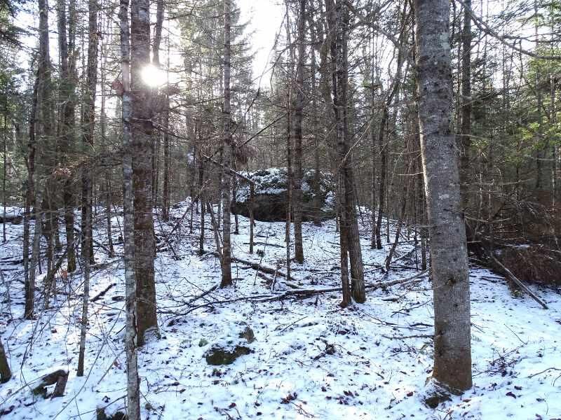 Franklin, Franklin County, NY Recreational Property, Timberland