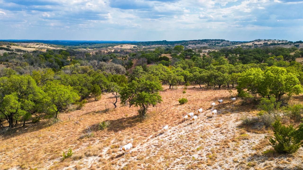 Boerne, Kendall County, TX Farms and Ranches, Hunting Property, House