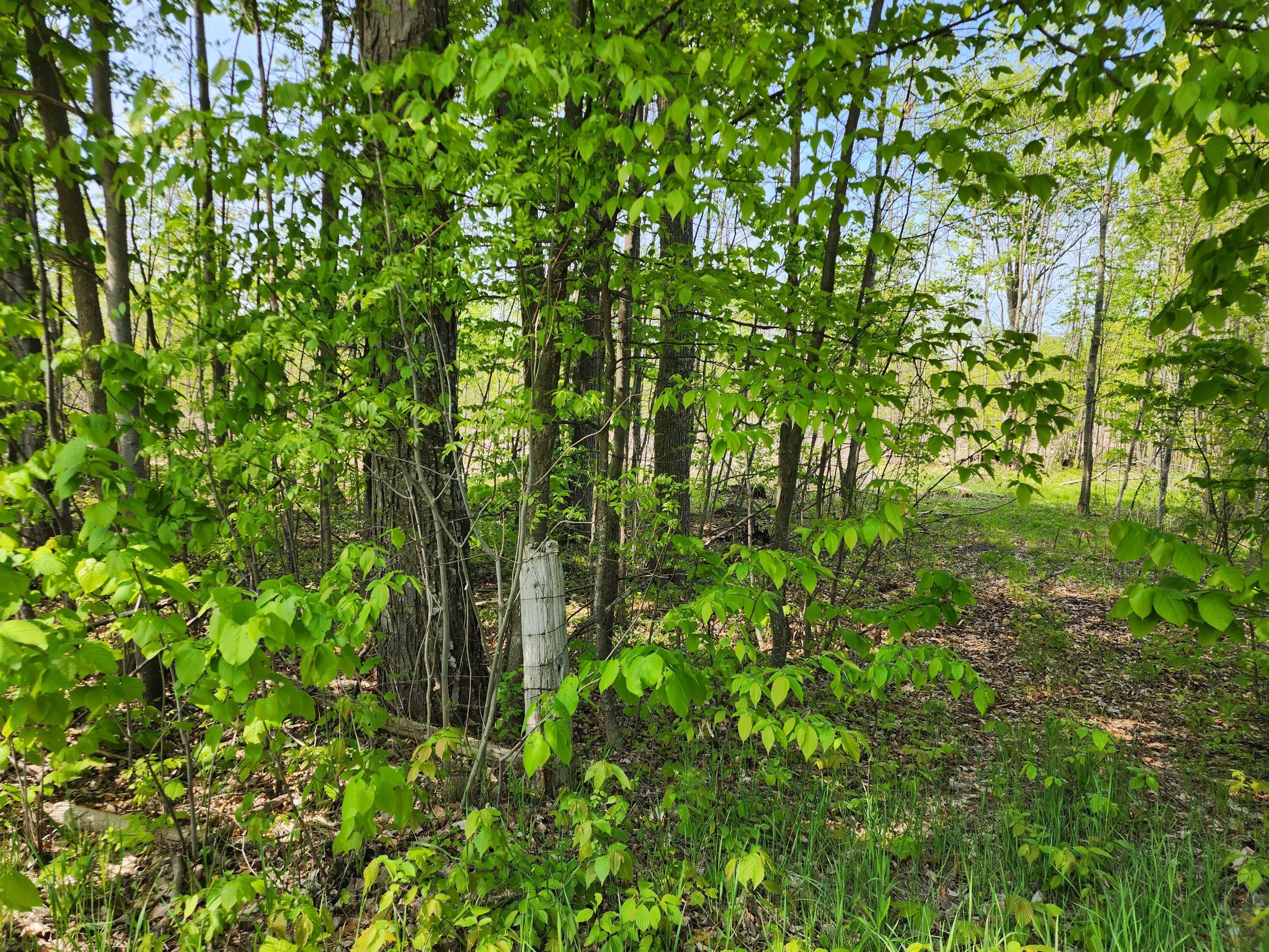 Parcel 8 Old M32 Grade Road, Hillman, MI 49746 MLS 201827693