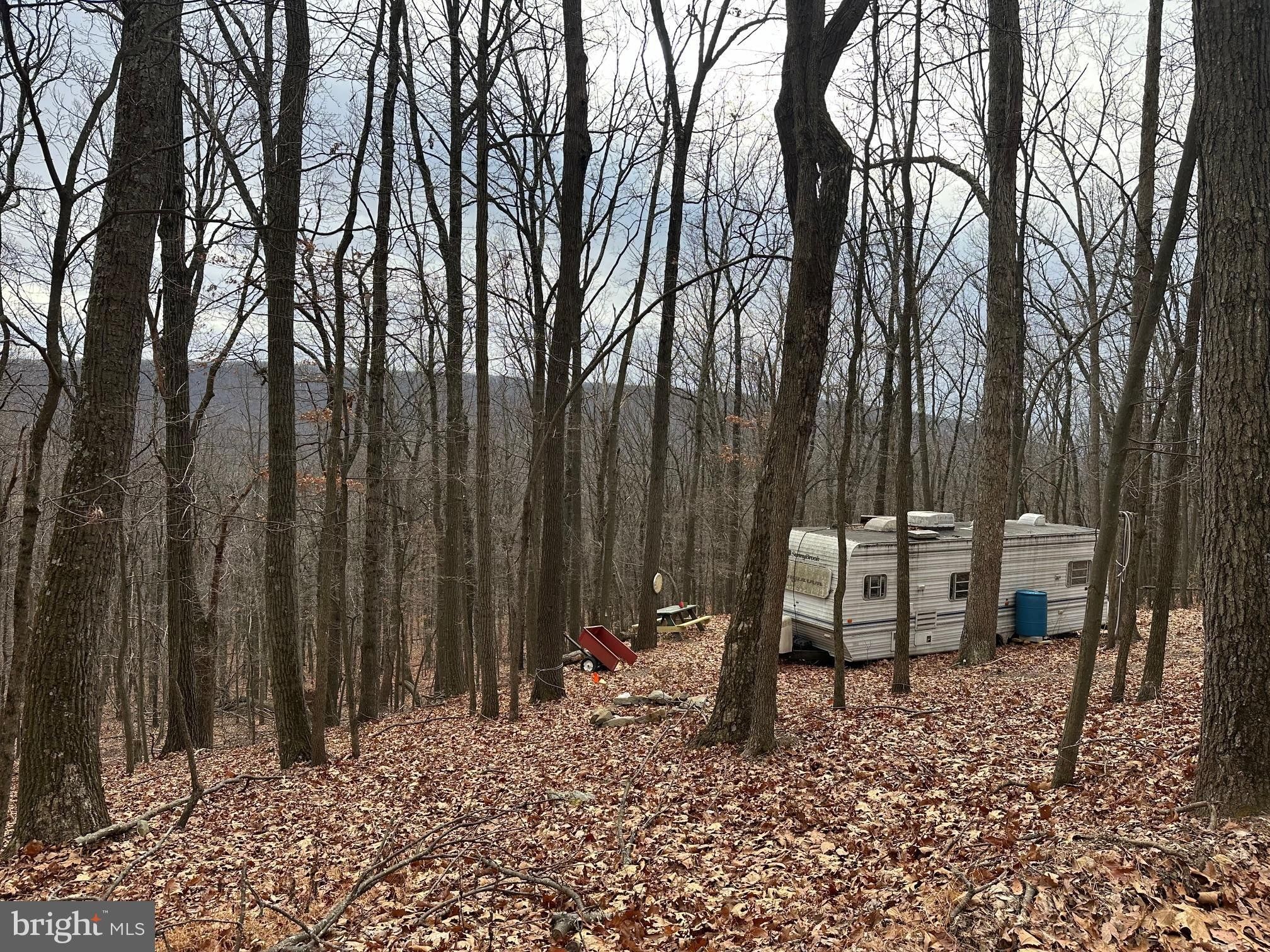 Paw Paw, Hampshire County, WV Undeveloped Land for sale Property ID