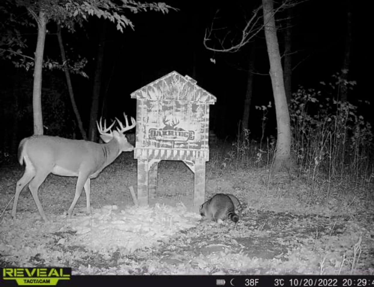 Philo, Muskingum County, OH Recreational Property, Hunting Property for