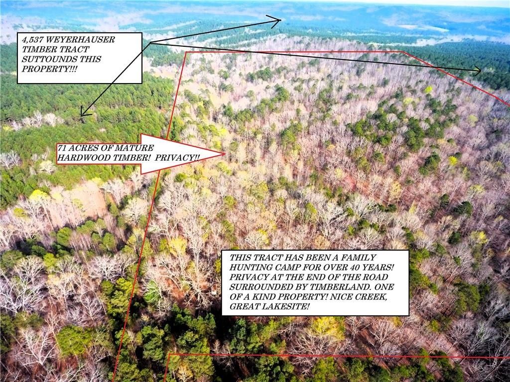 Buchanan, Haralson County, GA Undeveloped Land for sale Property ID