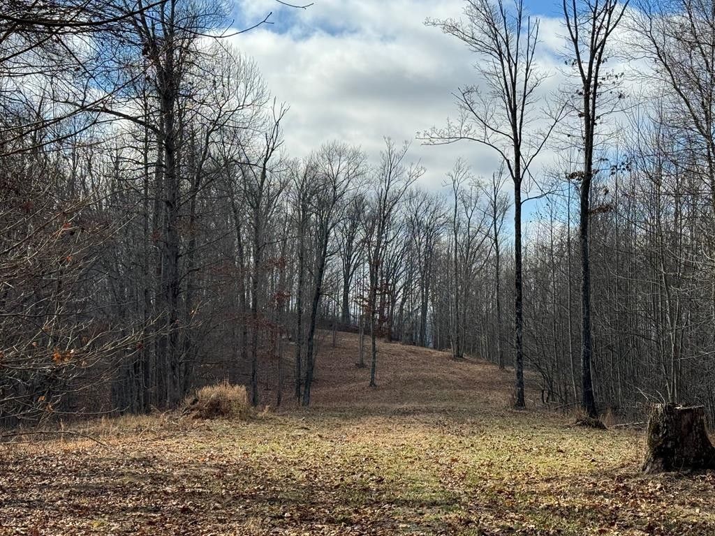 Sparta, White County, TN Farms and Ranches for sale Property ID 418604187 LandWatch