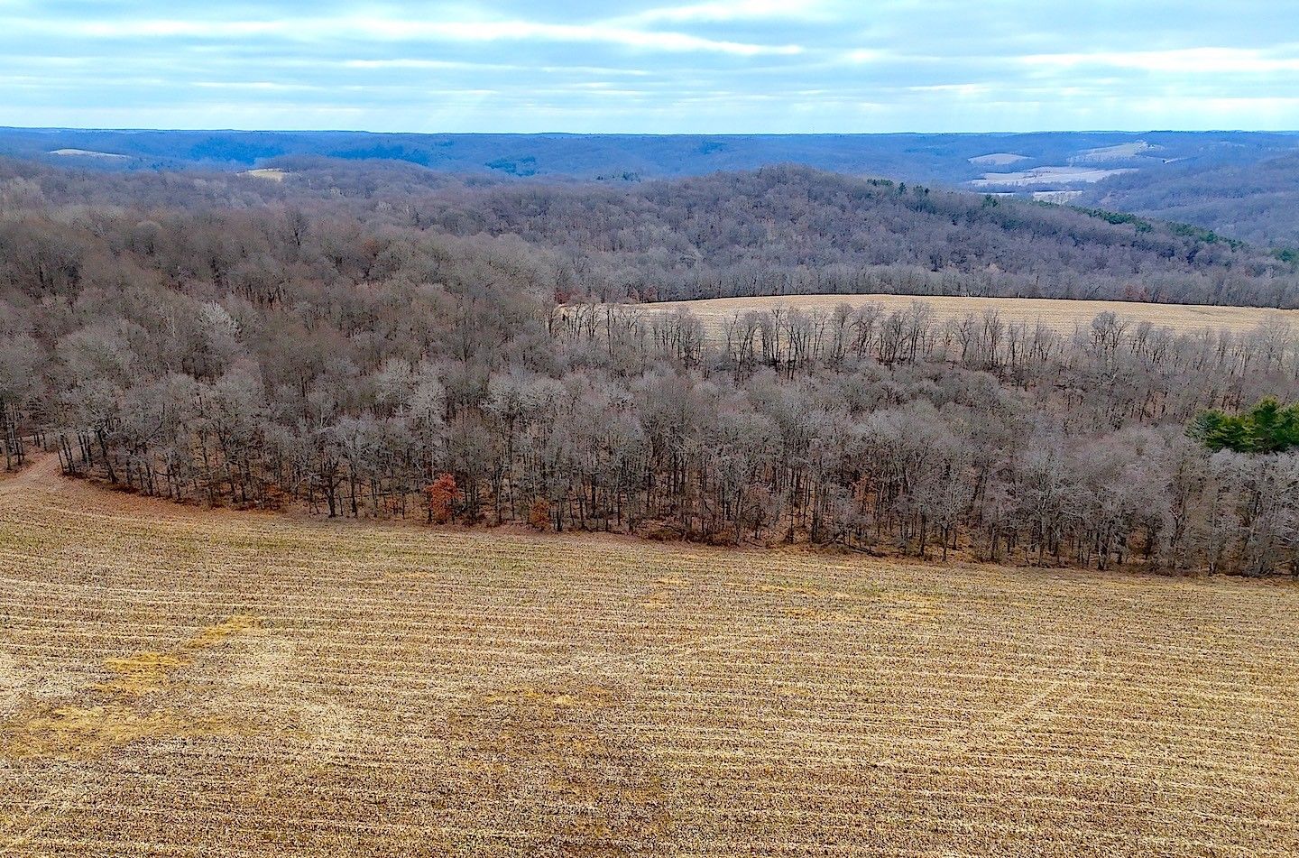 Danville, Knox County, OH Farms and Ranches, Timberland Property