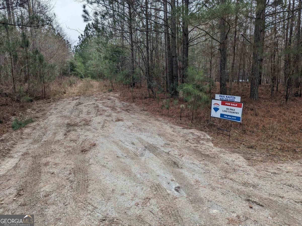 1110 Bethel Road, Greensboro, GA 30642 MLS 10237753 LandWatch