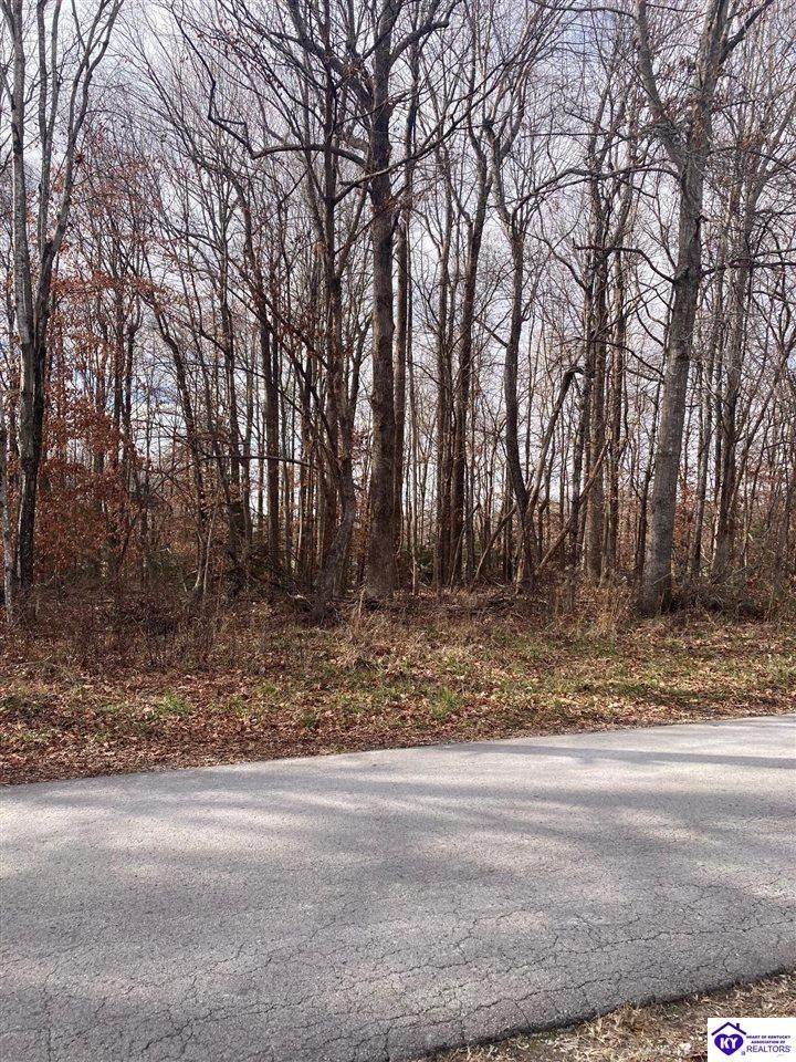 Greensburg, Green County, KY Undeveloped Land, Homesites for sale