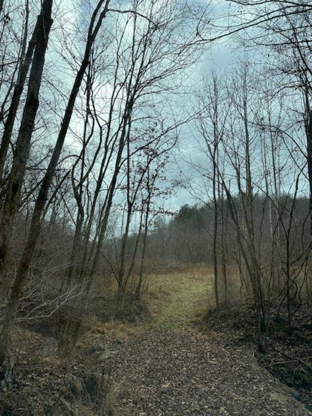 1000 Beechmont Road, Sandy Hook, KY 41171 MLS 11233833 LandWatch