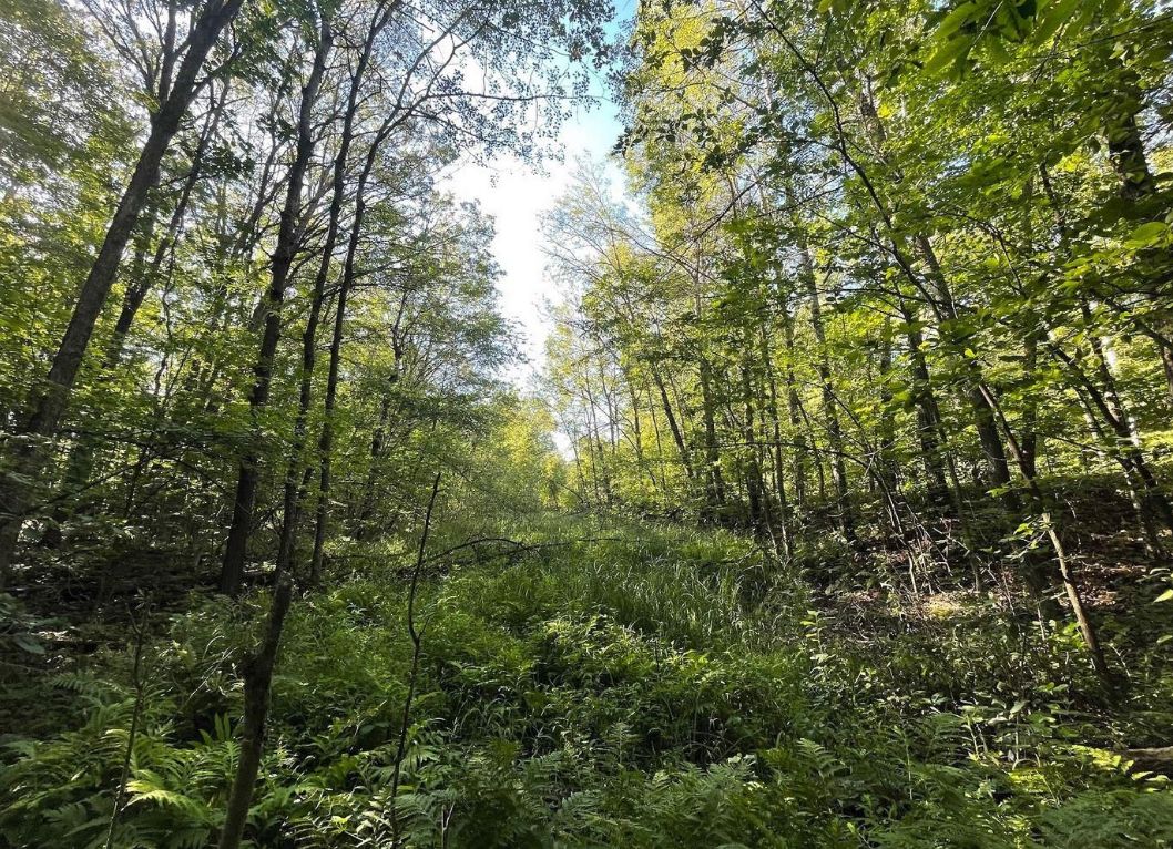 Garrison, Mille Lacs County, MN Recreational Property, Undeveloped Land