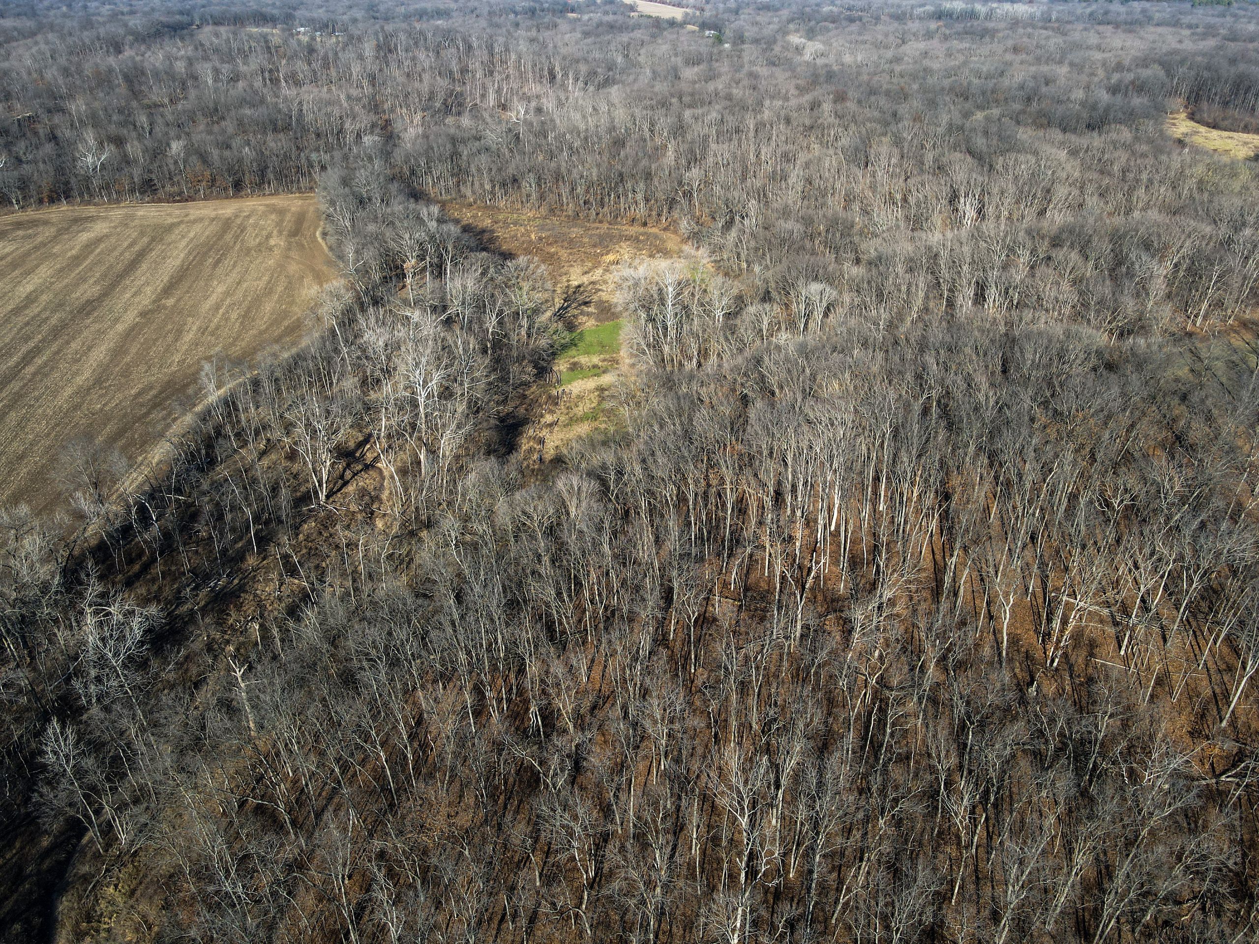 County Road 2850, Lot WP001, Ramsey, IL 62080 LandWatch