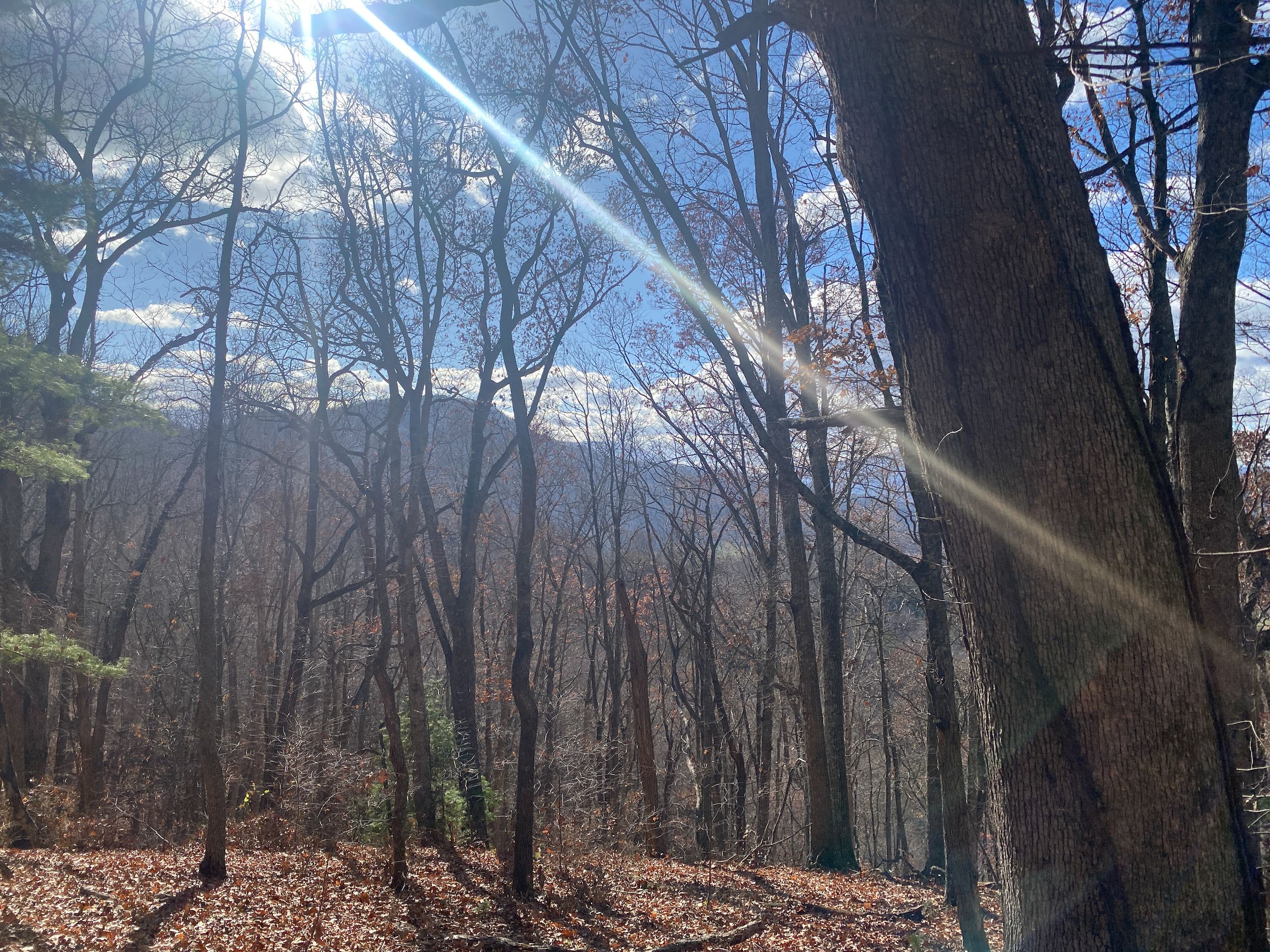 Clyde, Haywood County, NC Recreational Property, Timberland Property