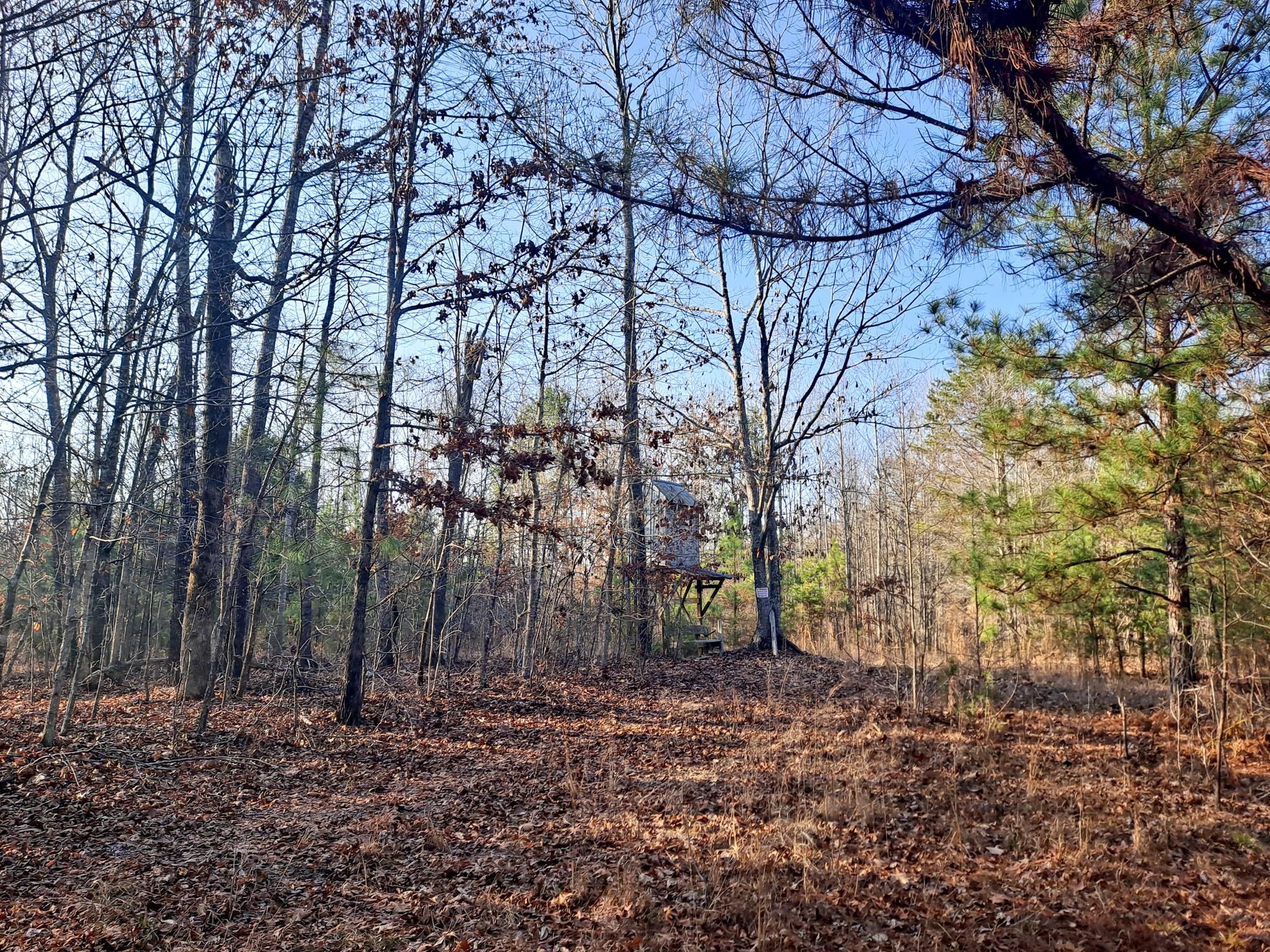 Parrish, Walker County, AL Recreational Property, Timberland Property, Hunting Property for sale