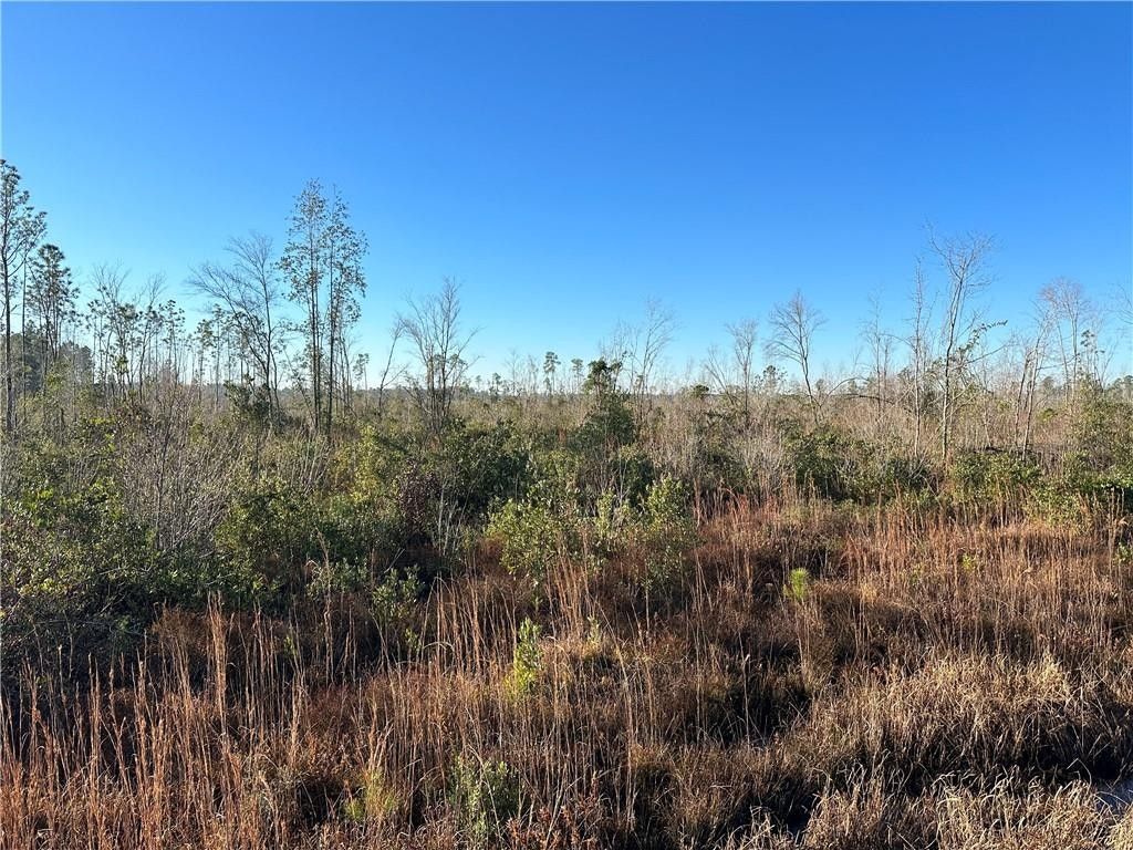 Alma, Bacon County, GA Undeveloped Land for sale Property ID 418611533