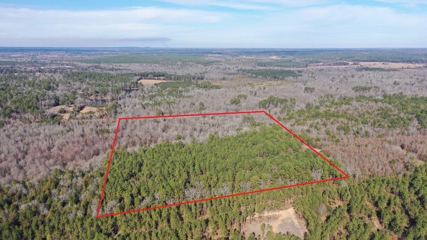 County Road 1545, Linden, TX 75563 MLS 20240086 LandWatch