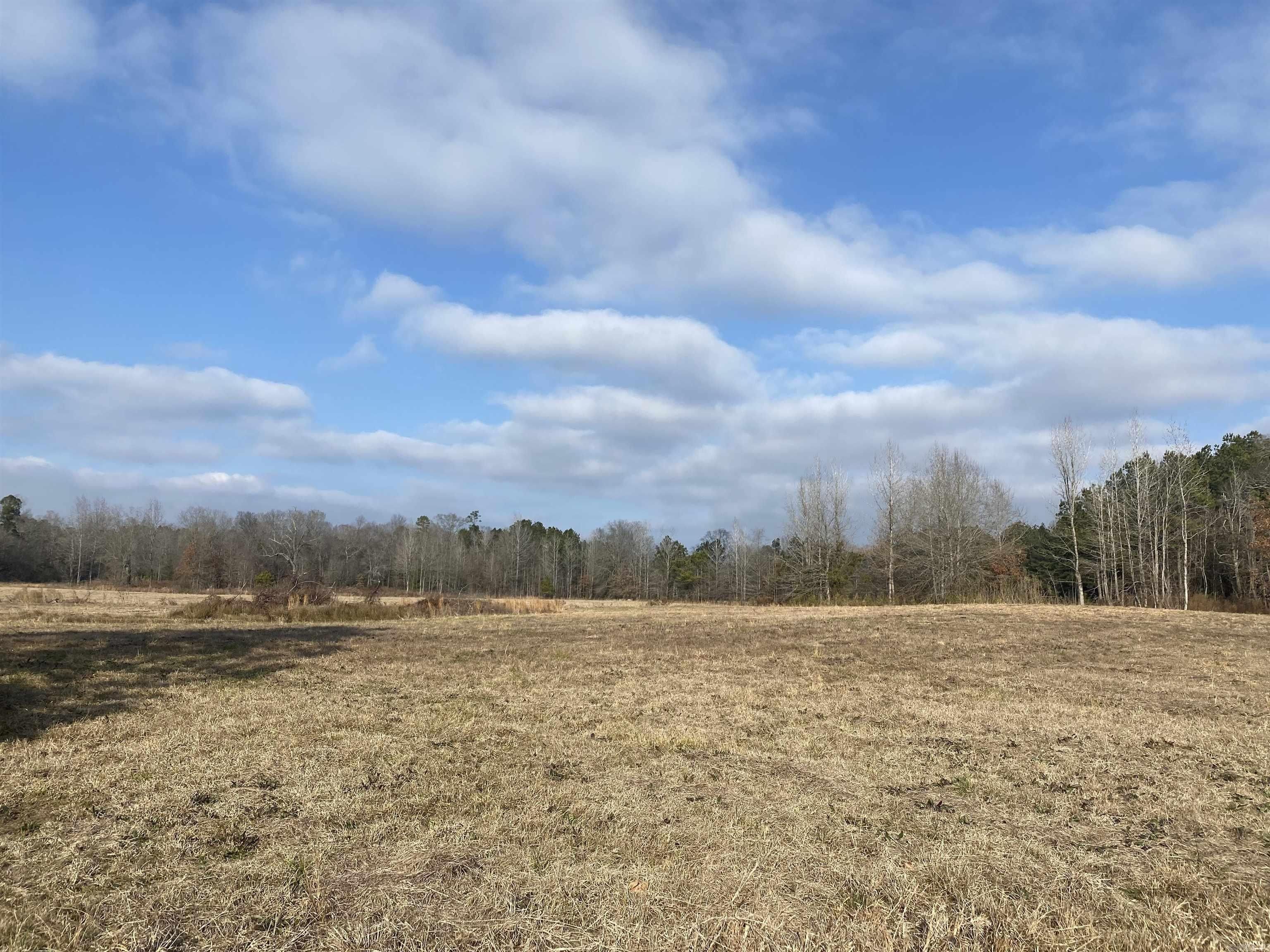 Grapevine, Grant County, AR Undeveloped Land for sale Property ID 418114238 LandWatch