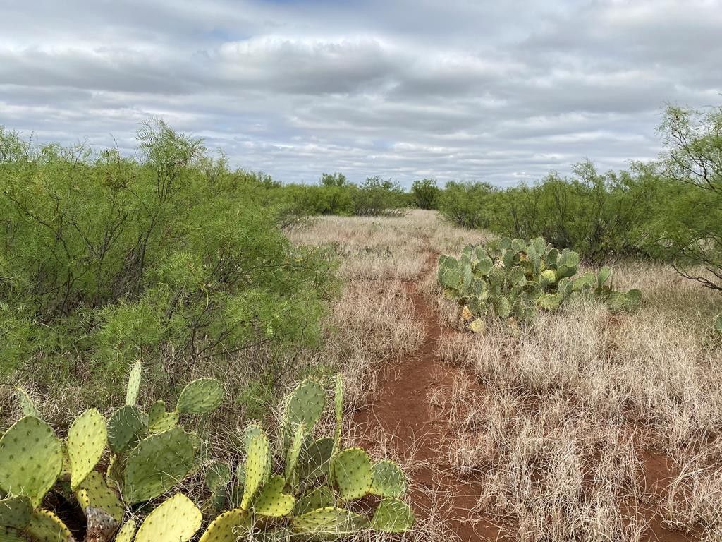 Westbrook, Mitchell County, TX Undeveloped Land for sale Property ID
