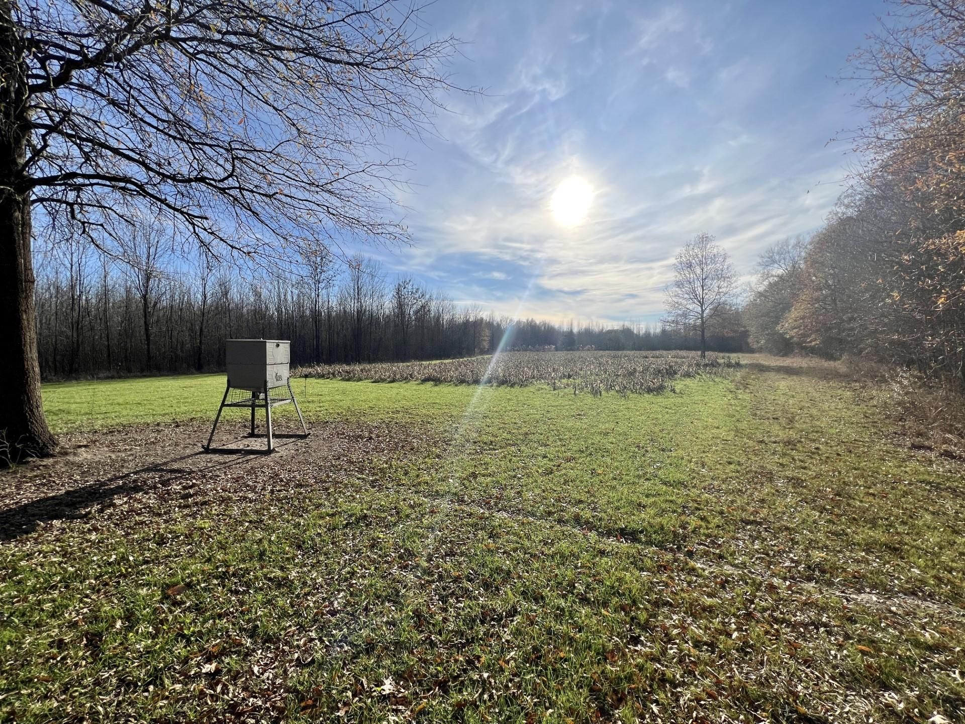 Greenwood, Leflore County, MS Recreational Property, Timberland