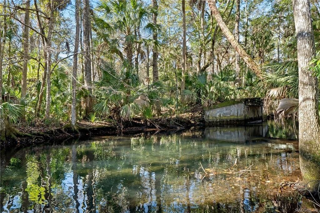 Homosassa, Citrus County, FL Undeveloped Land, Lakefront Property