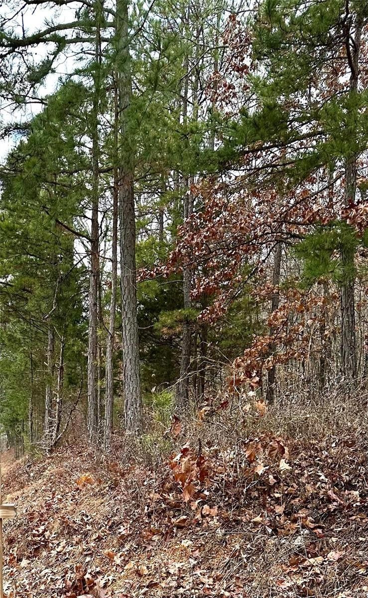 Eminence, Shannon County, MO Farms and Ranches for sale Property ID