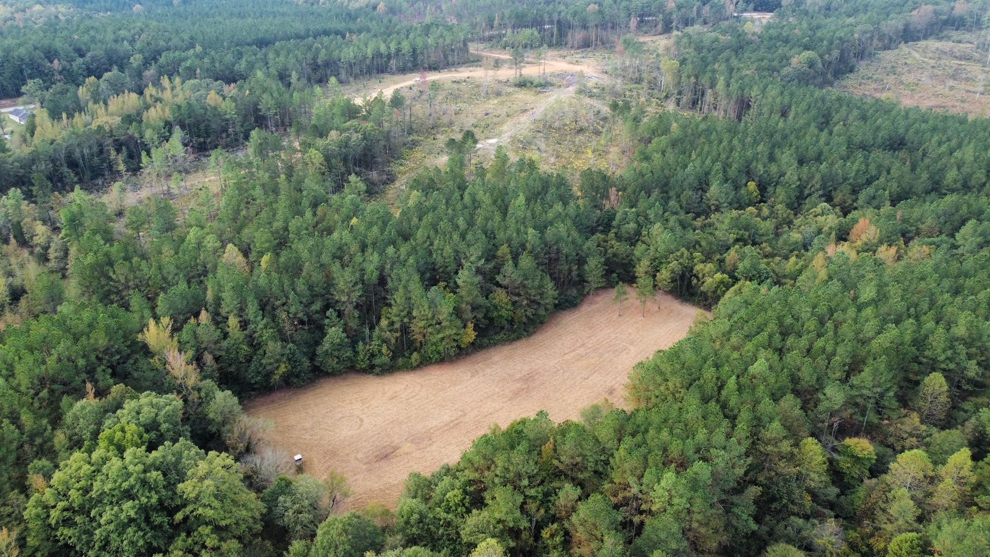 45 Acres, Attala County, MS, McCool, MS 39108 LandWatch