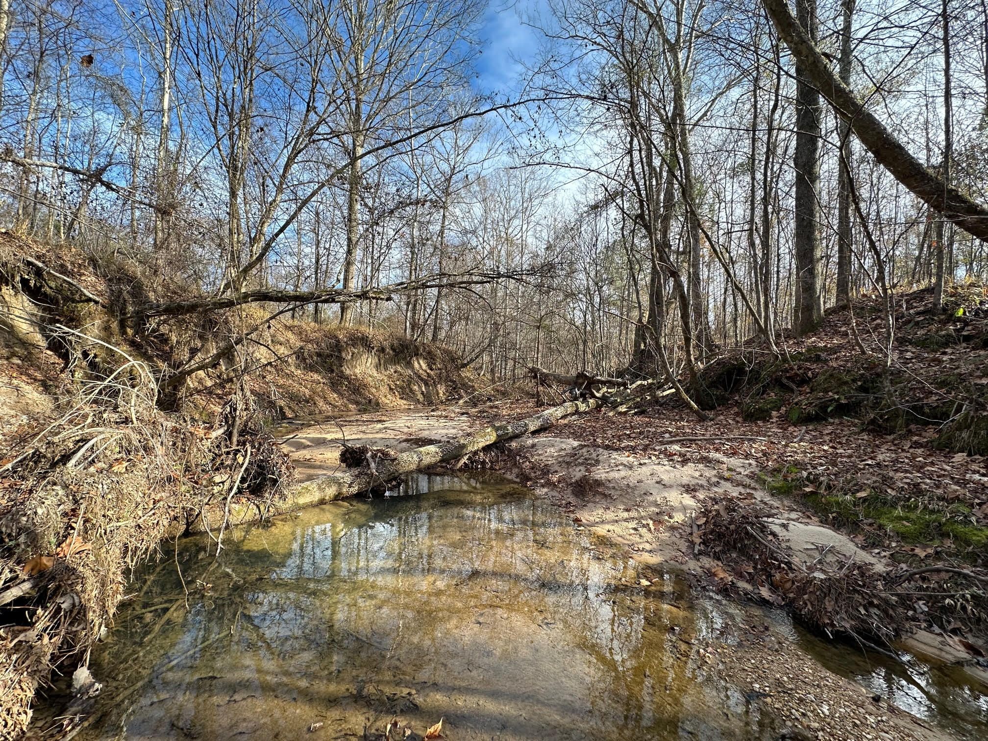 43 Acres, Copiah County, MS, Hazlehurst, MS 39083 LandWatch