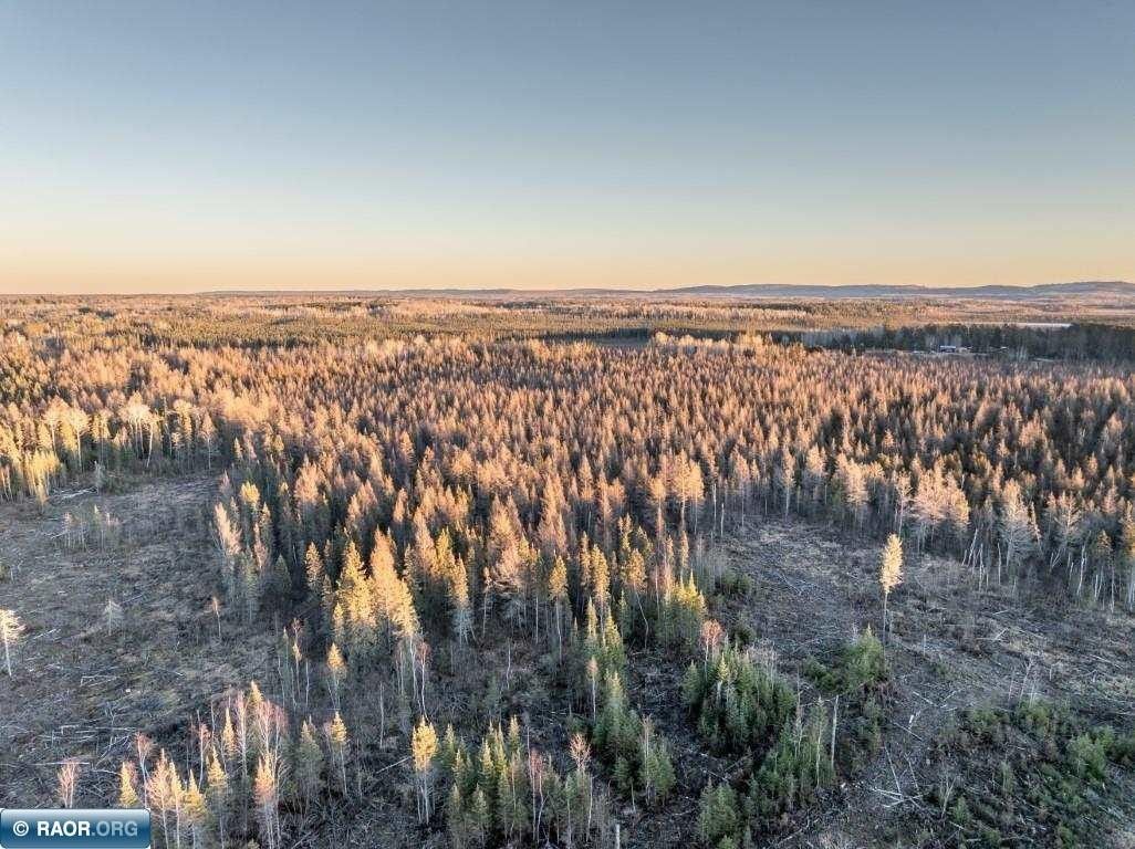 Embarrass, Saint Louis County, MN Undeveloped Land for sale Property ID