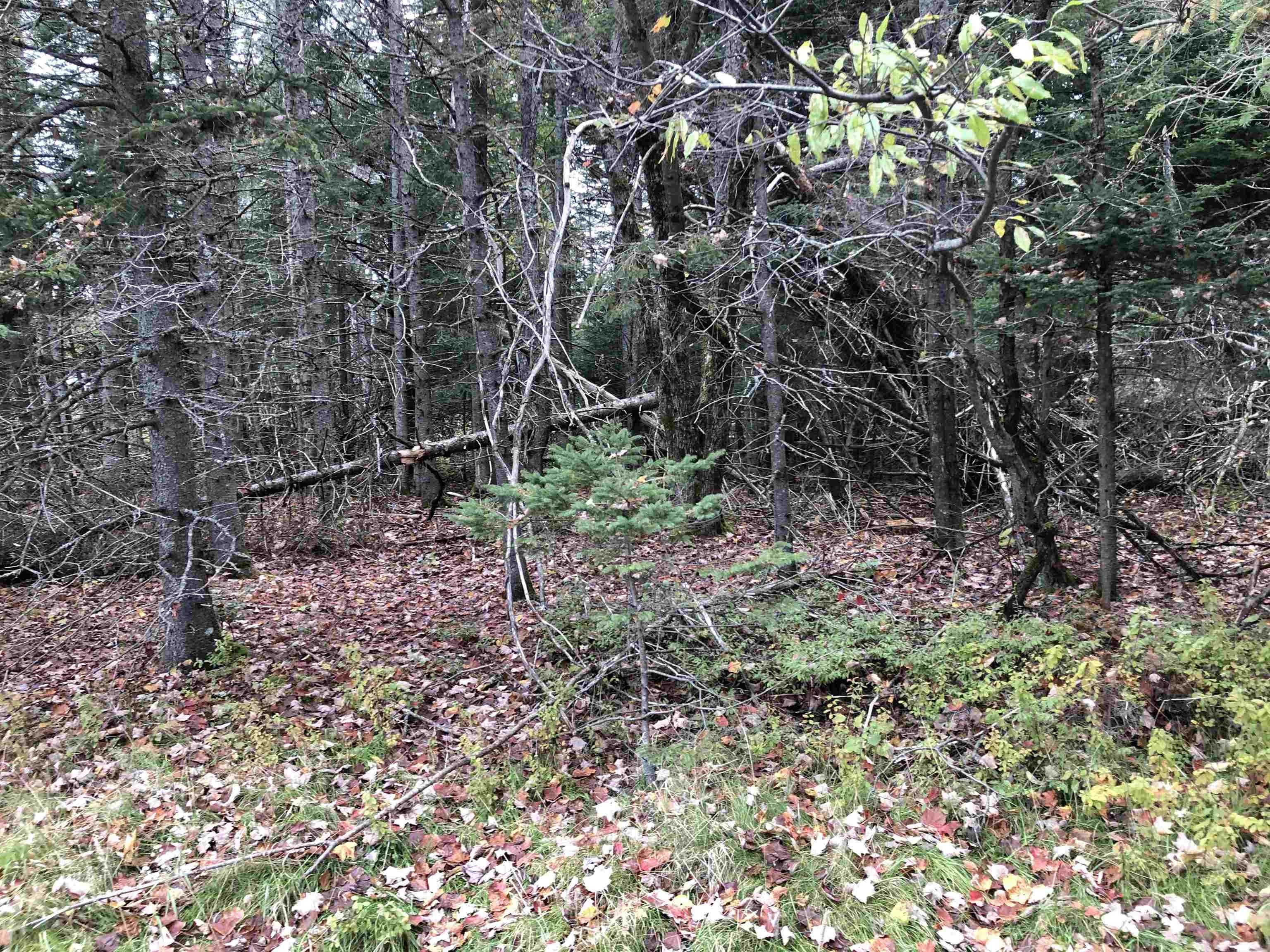 Pittsburg, Coos County, NH Undeveloped Land, Homesites for sale