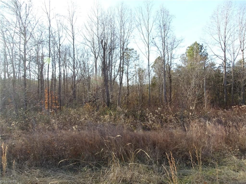Randleman, Randolph County, NC Homesites for sale Property ID 418616402 LandWatch