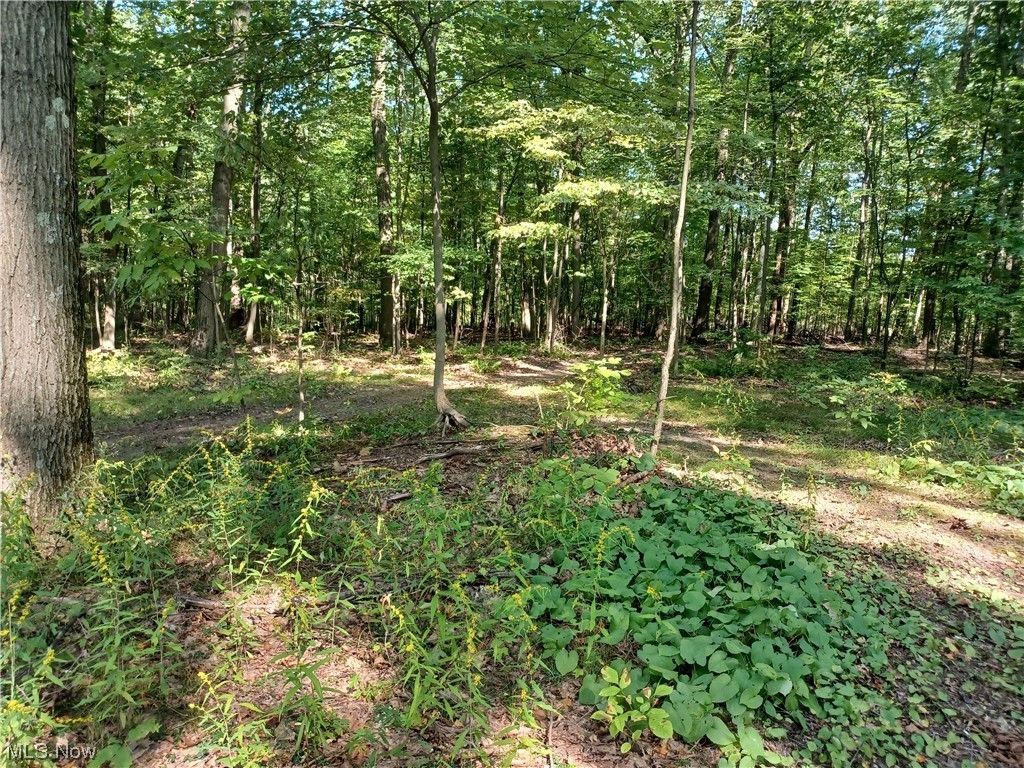 Lowellville, Mahoning County, OH Undeveloped Land, Homesites for sale