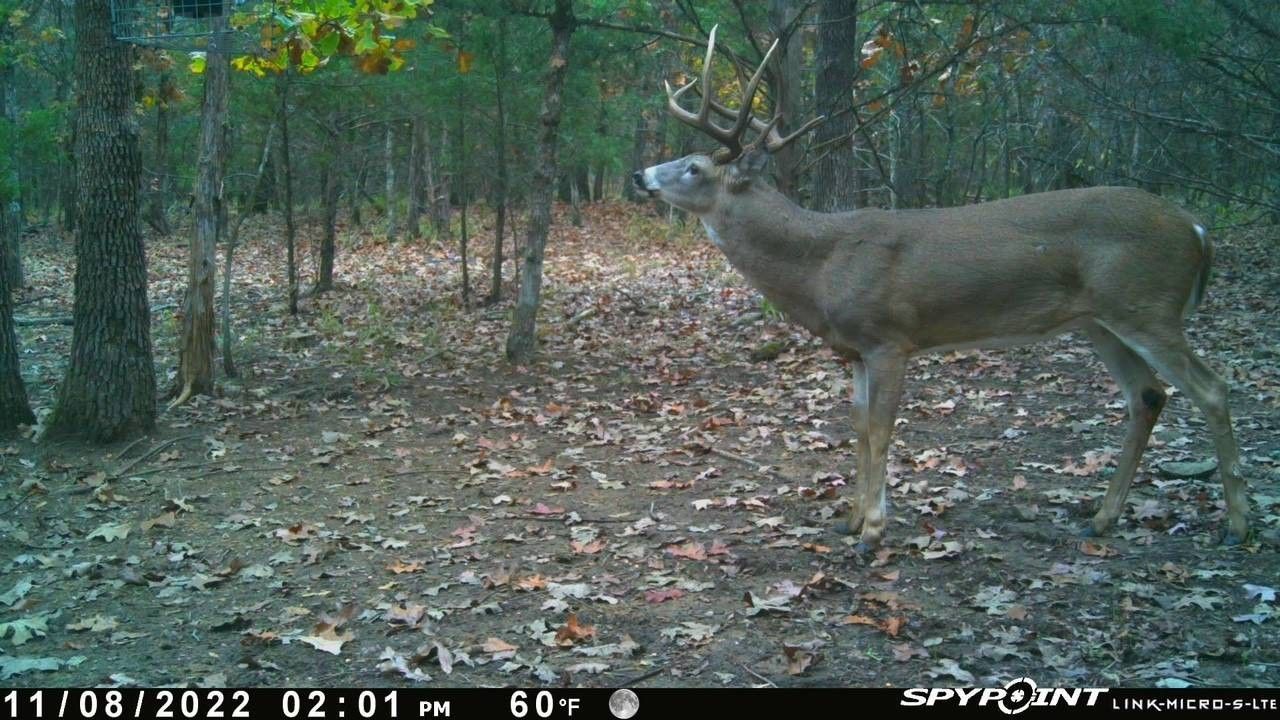 Rattan, Pushmataha County, OK Undeveloped Land for sale Property ID 418616767 LandWatch