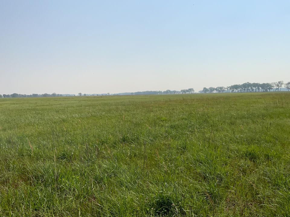 Cumminsville, Wheeler County, NE Farms and Ranches for auction Property