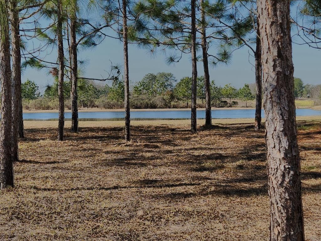 Ochlocknee, Thomas County, GA Undeveloped Land, Homesites for sale
