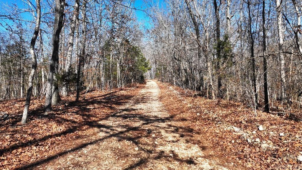 Mountain View, Stone County, AR Undeveloped Land for sale Property ID