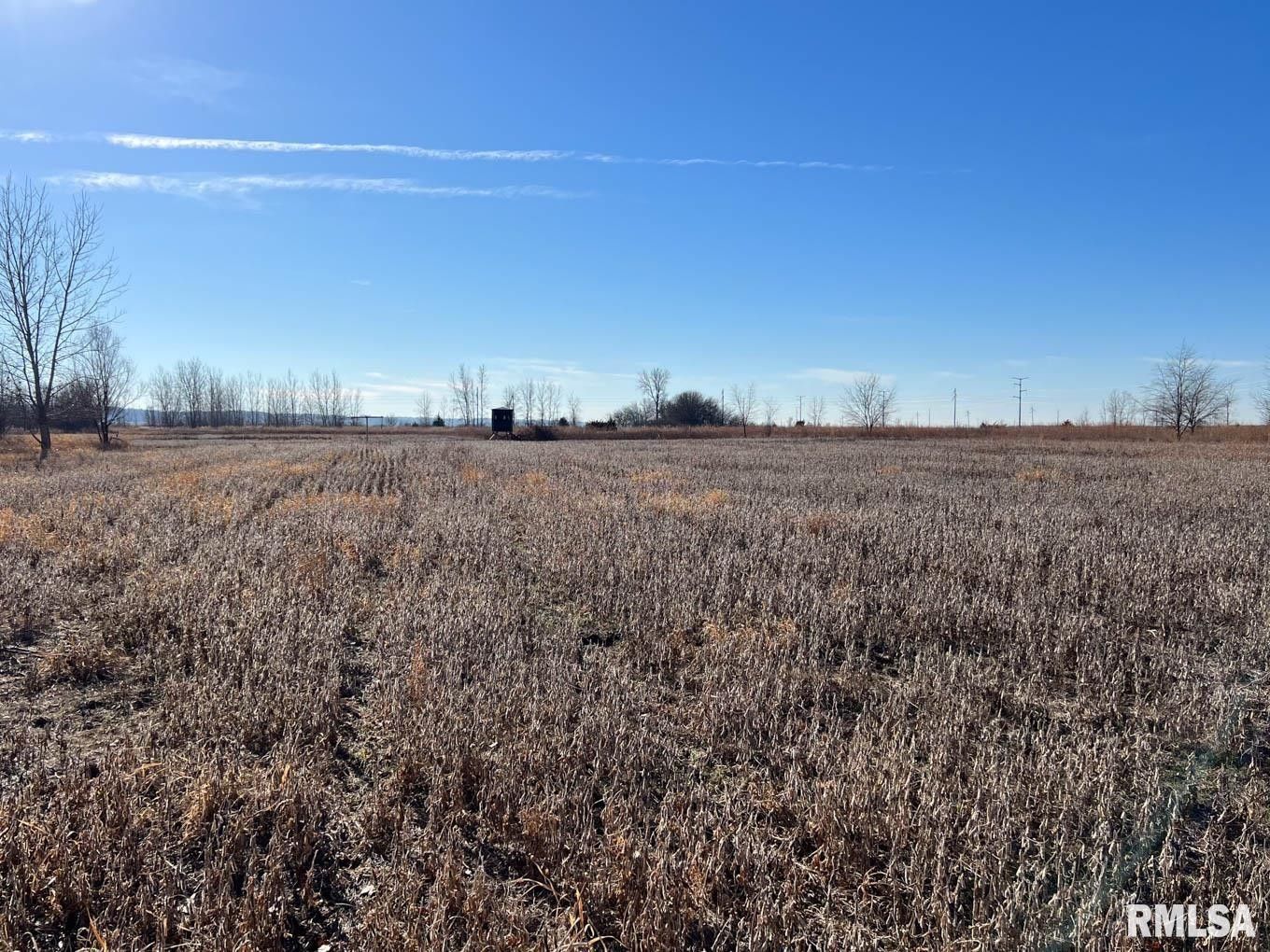 Meredosia, County, IL Undeveloped Land for sale Property ID