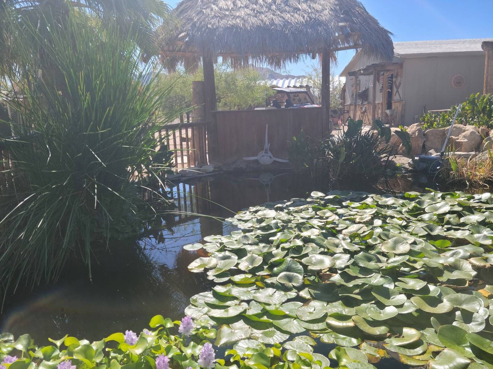 Lake Havasu City, Mohave County, AZ House for sale Property ID