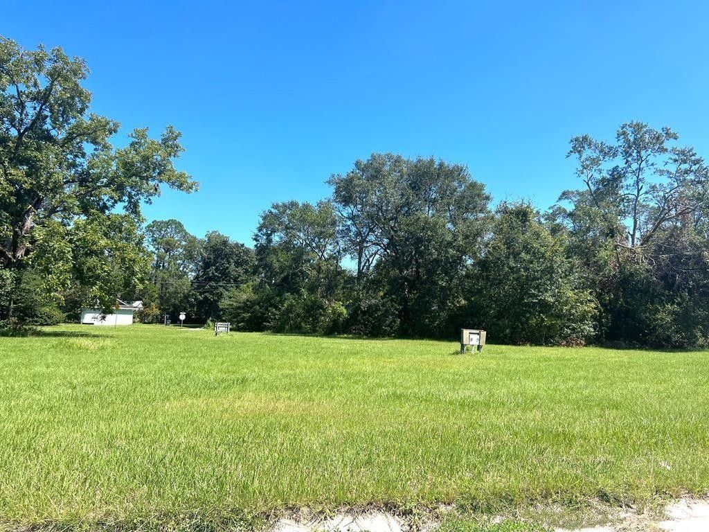 Waycross, Ware County, GA Undeveloped Land, Homesites for sale Property