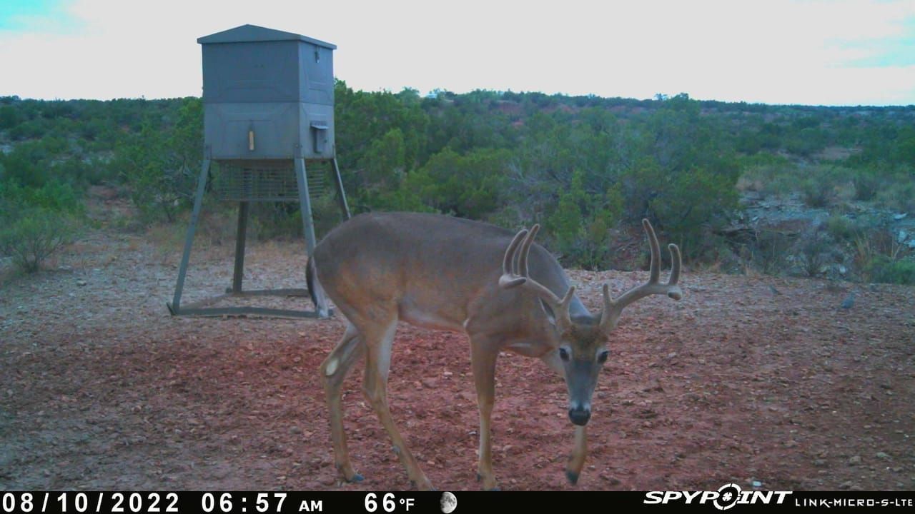 TBD CR 2631, Crowell, TX 79227 MLS N/A LandWatch