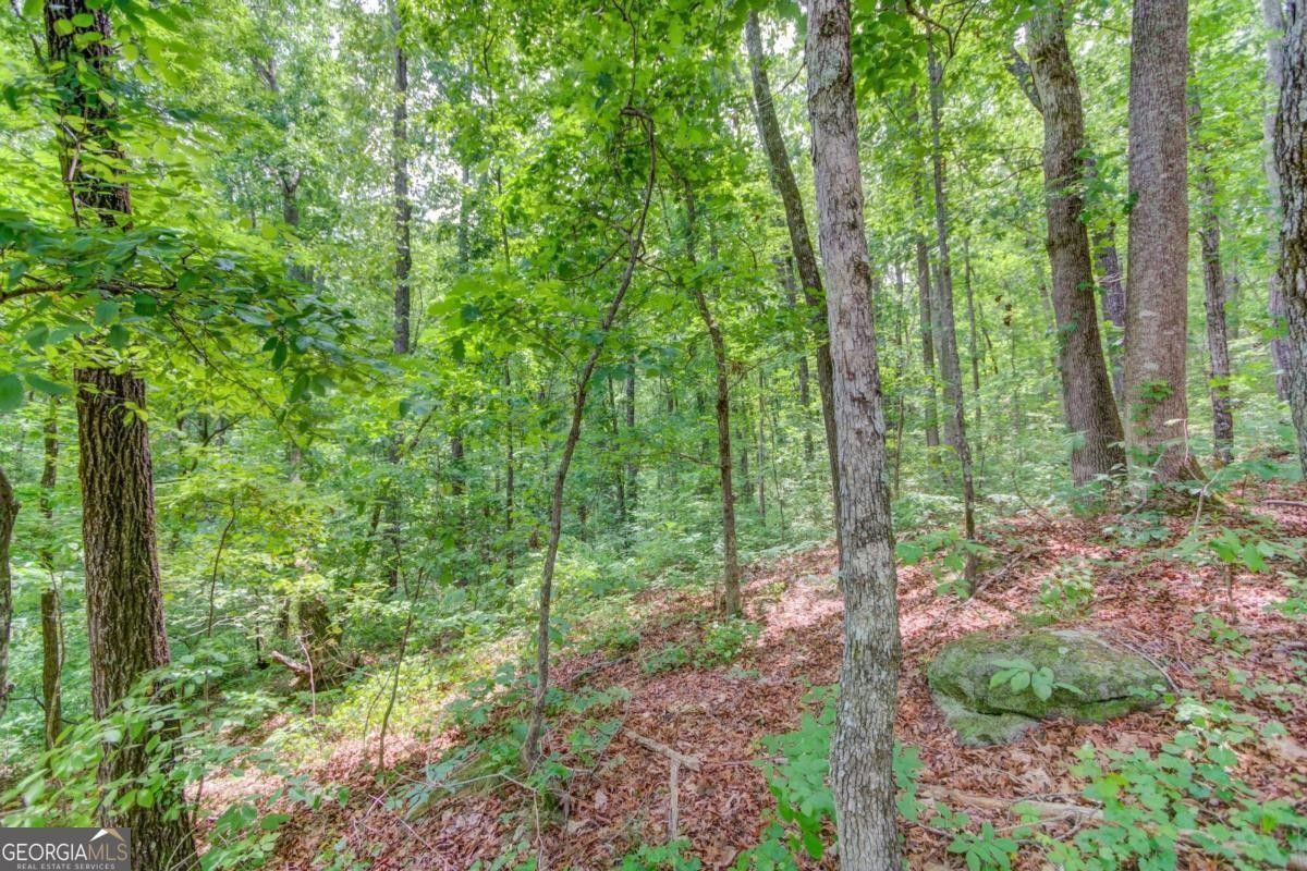 Monroe, Walton County, GA Undeveloped Land for sale Property ID