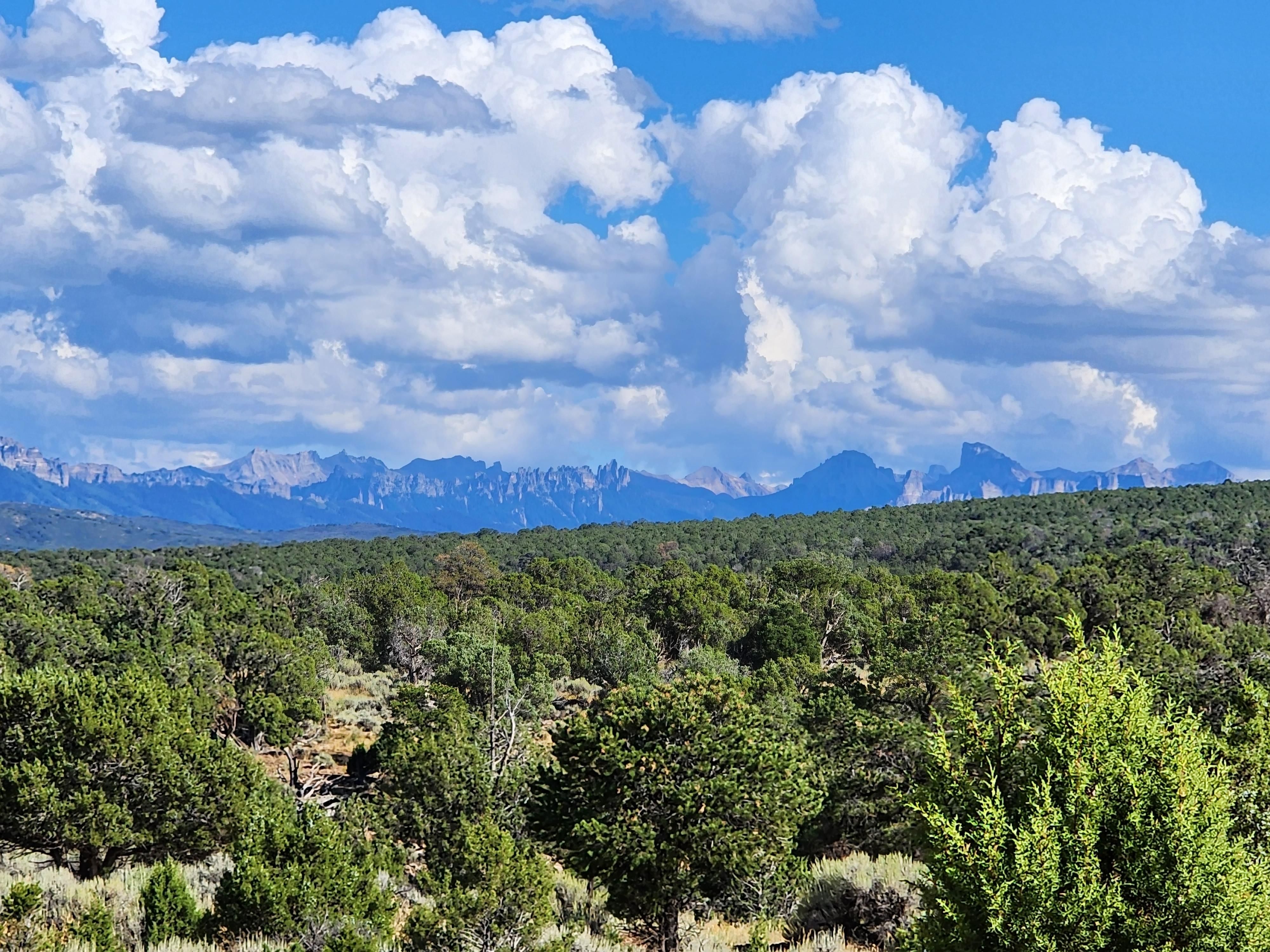 Montrose, Ouray County, CO Recreational Property, Hunting Property for