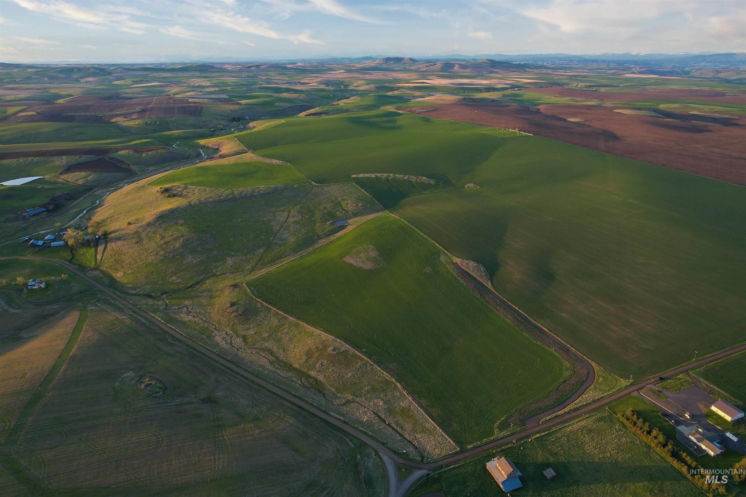 Grangeville, Idaho County, ID Undeveloped Land for sale Property ID