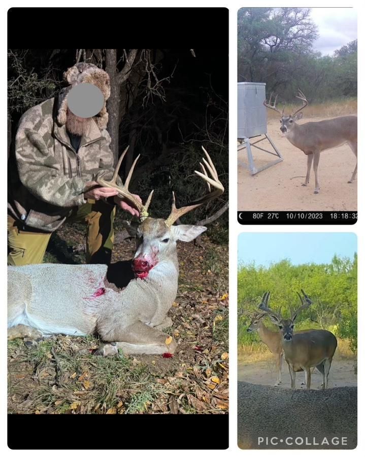 70 County Road 532, Mullin, TX 76864 LandWatch