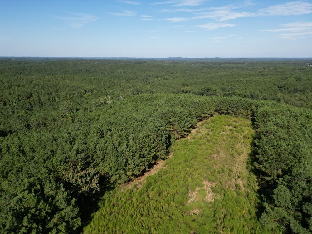 Fayette, Fayette County, AL Timberland Property, Hunting Property for