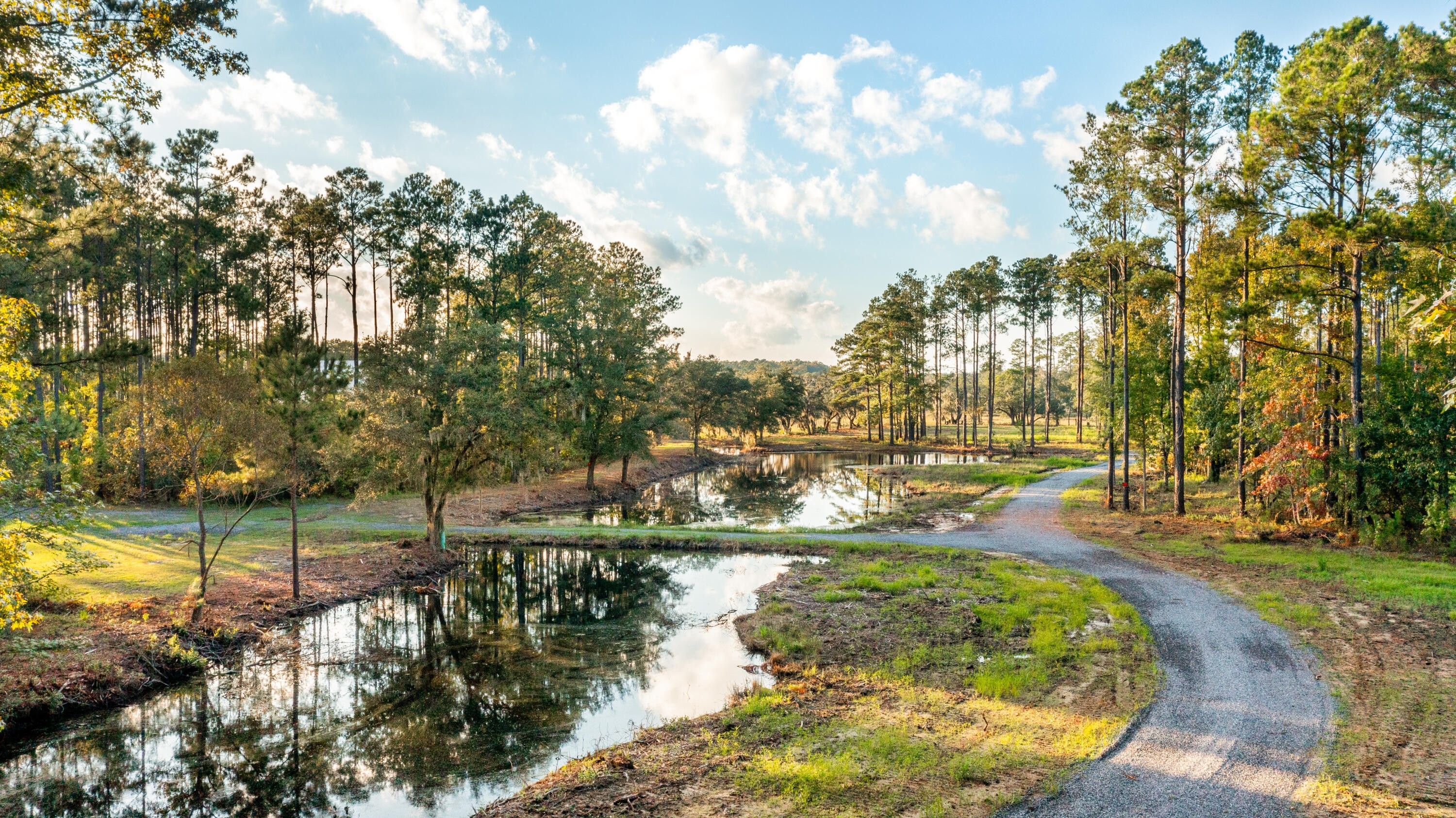 Hollywood, Charleston County, SC Undeveloped Land, Lakefront Property