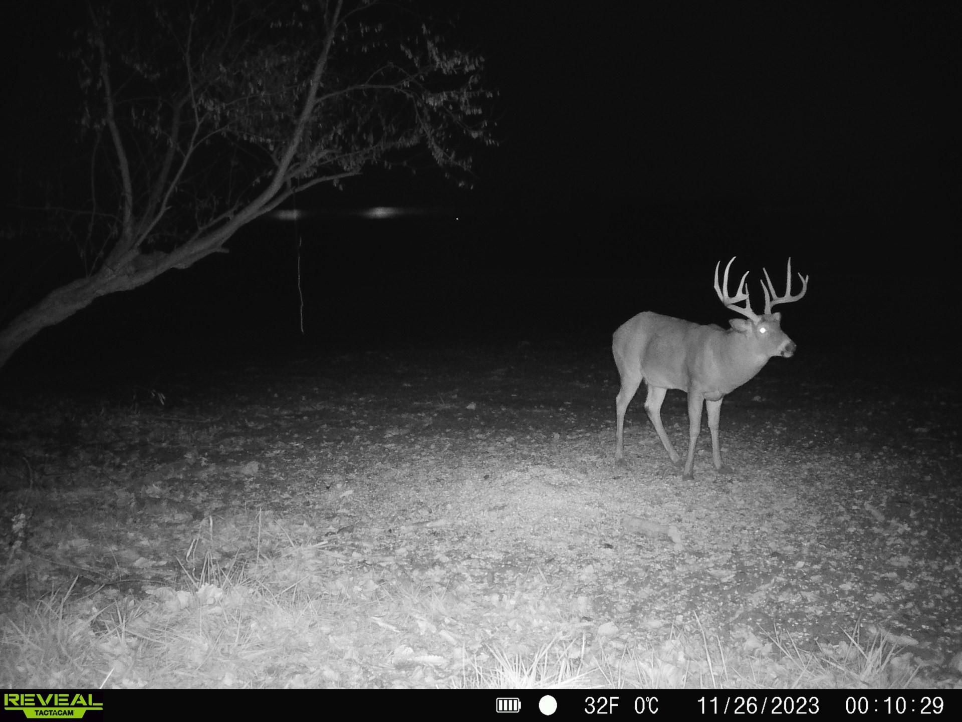 Bainbridge, Highland County, OH Farms and Ranches, Hunting Property for