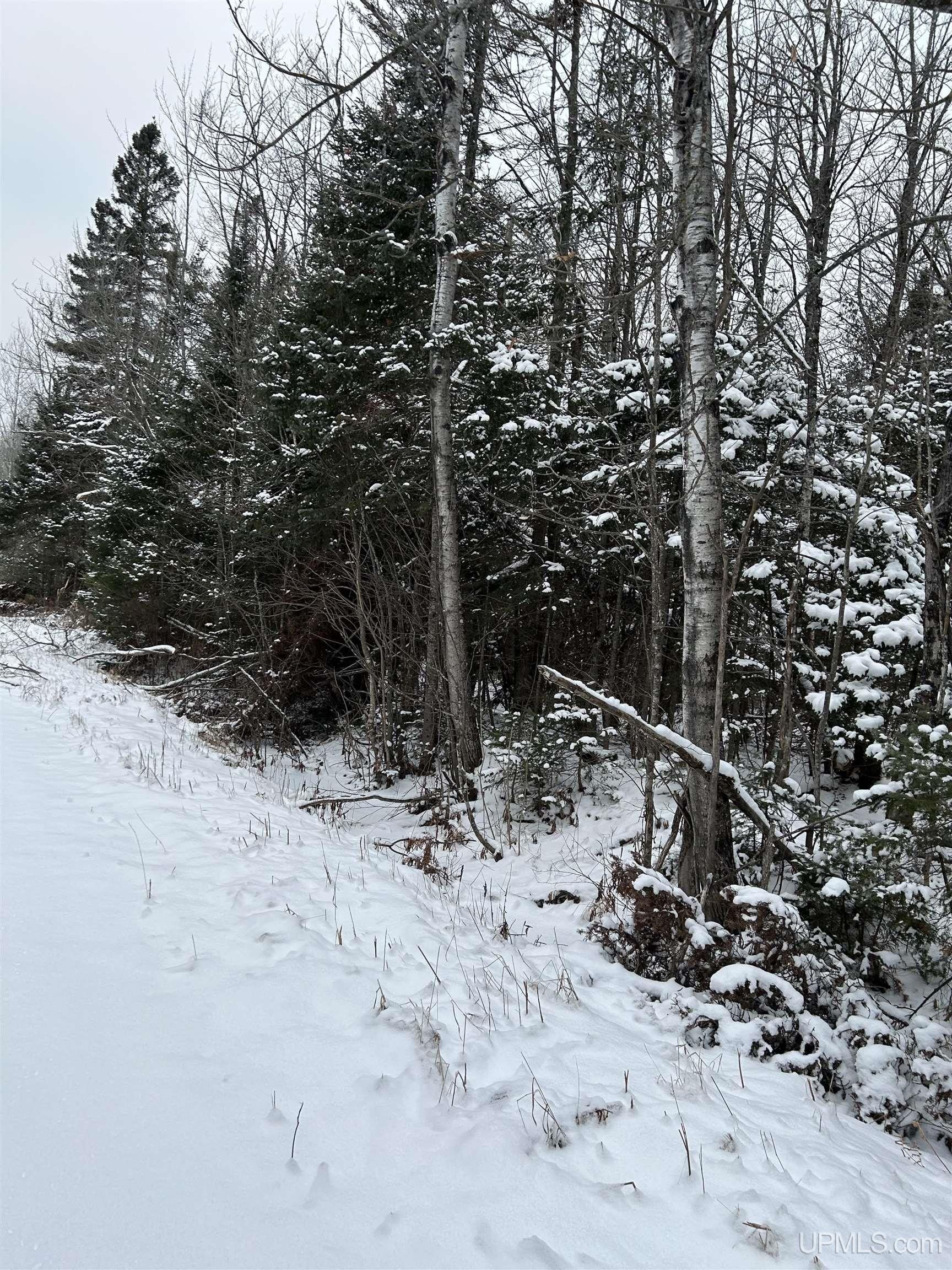 Ladoga Road, Trenary, MI 49841 MLS 50131020 LandWatch