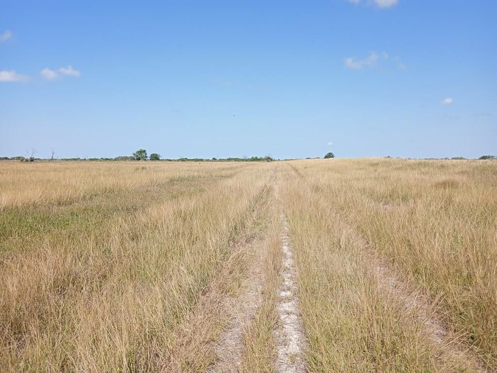 10 acres in Blessing, TX, 77419 MLS 776665 LandWatch