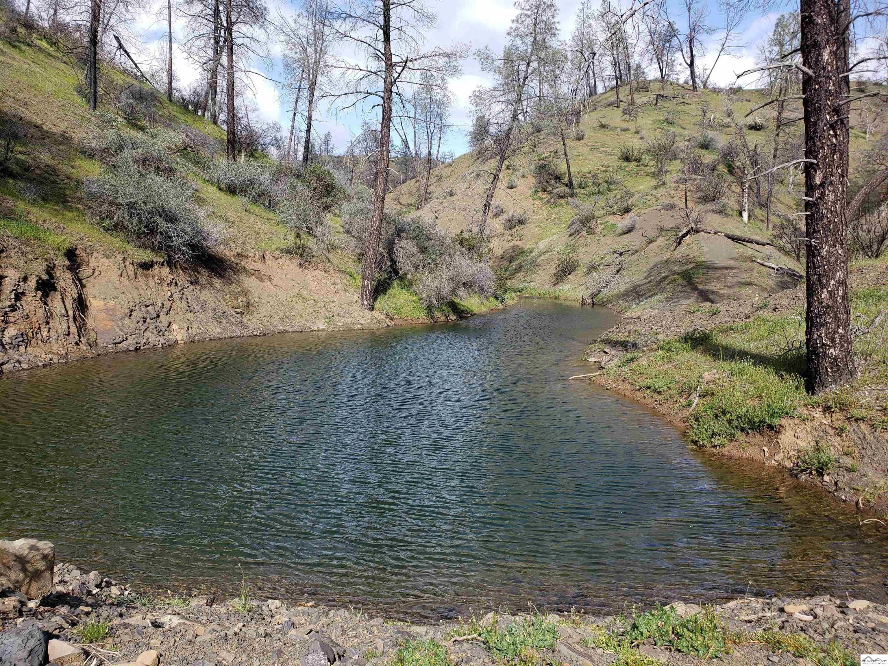Red Bluff, Tehama County, CA Undeveloped Land for sale Property ID