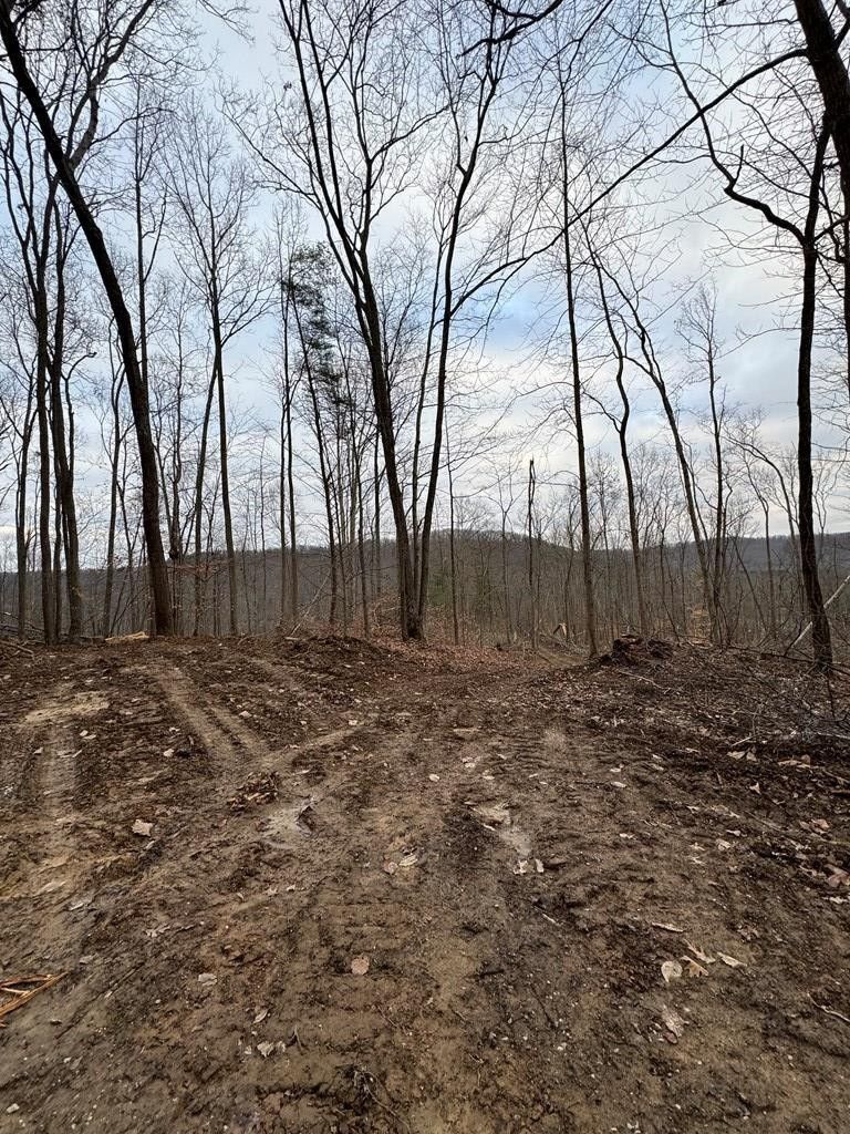 Hillsboro, Fleming County, KY Undeveloped Land for sale Property ID