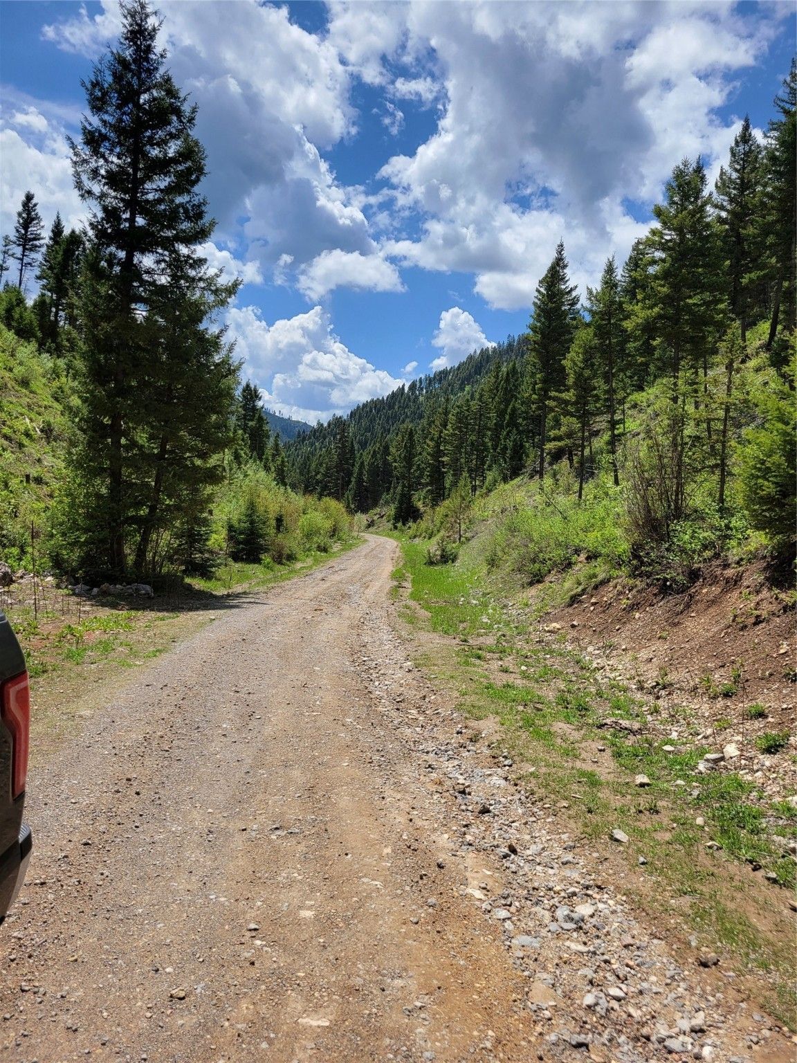 Clinton, Missoula County, MT Undeveloped Land for sale Property ID