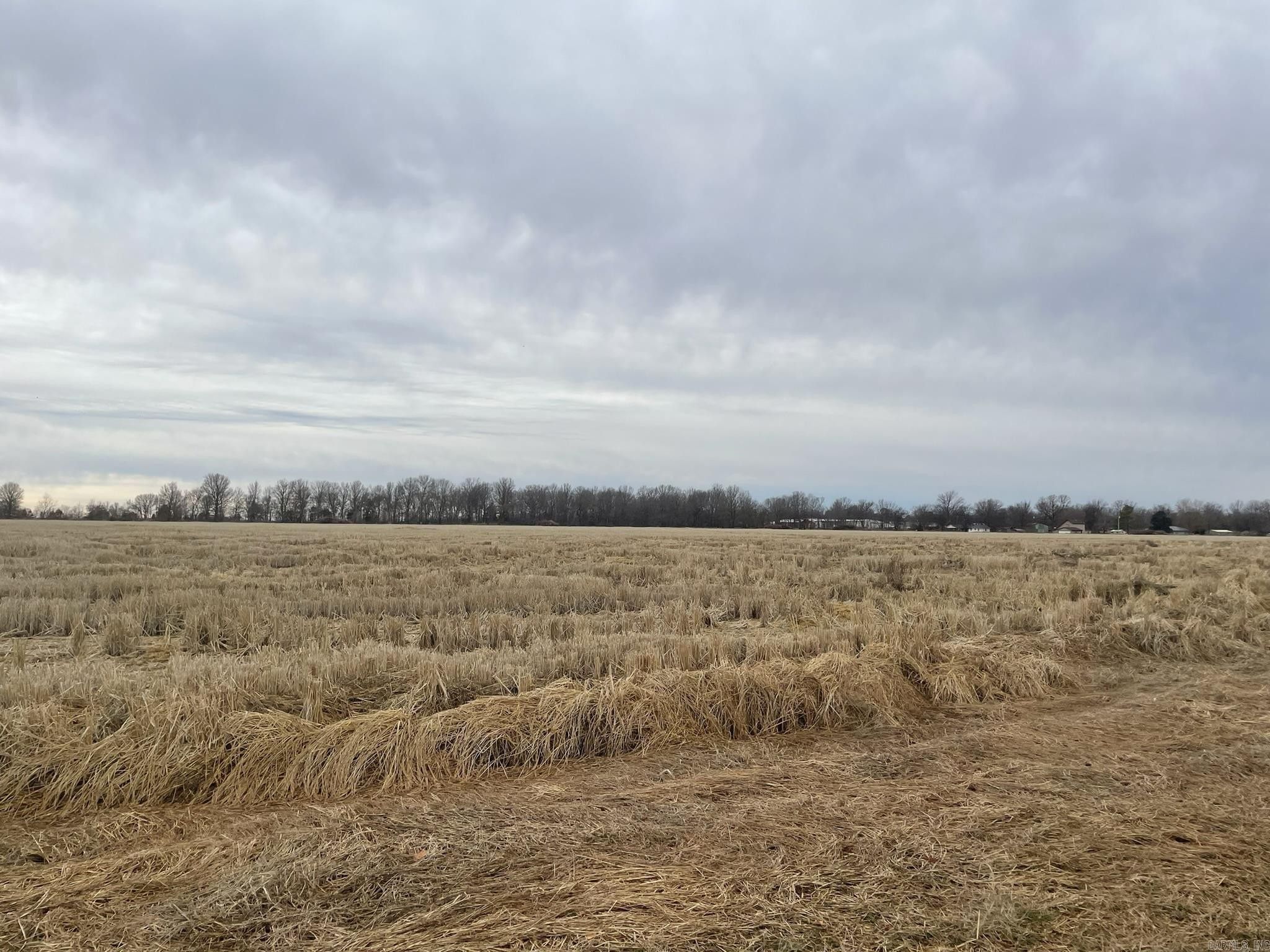 000 NE Jackson Avenue, Hoxie, AR 72433 MLS 24000684 LandWatch