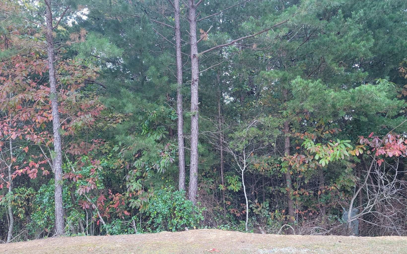 Ellijay, Gilmer County, GA Undeveloped Land, Homesites for sale